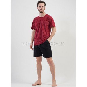 Мужской комплект с шортами 201601 Vienetta Бордовый, 2XL