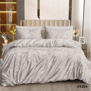 Набор постельного белья хлопок Ранфорс 24284 , Евро